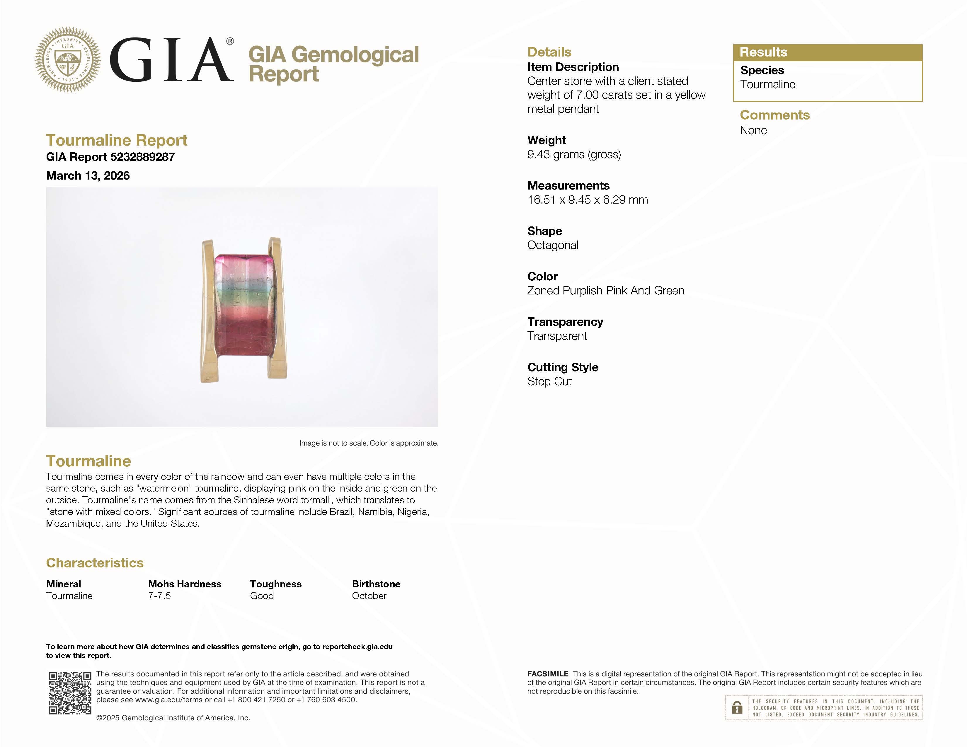 GIA 7Ct Watermelon Tourmaline Pendant 14K Gold Modernist Bi-Color Estate